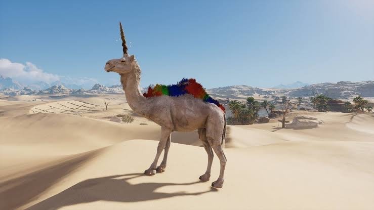 /2019/08/camels-dressed-as-unicorns/camel_corn.jpeg